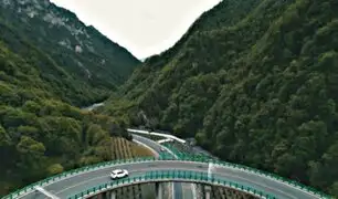 Mega autopista fue construida en bosque sin cortar un solo árbol