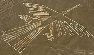 Japón: descubren identidad real de las aves dibujadas en líneas de Nazca