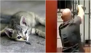 Hombre es captado colocando veneno en bebedero de gatos