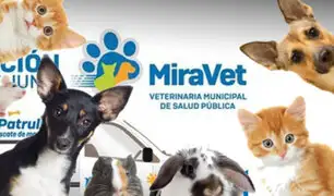 Miraflores tendrá su veterinaria municipal y funcionará las 24 horas del día
