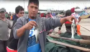 Cerro azul: pescadores revelan las bondades curativas del cebiche