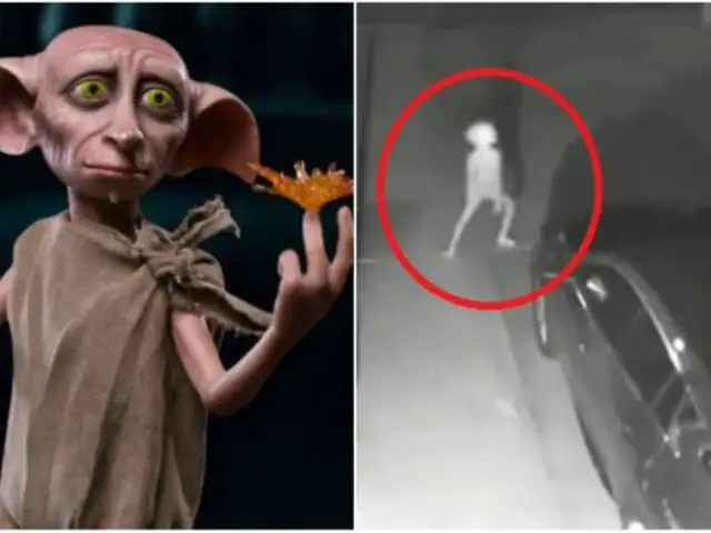 Captan extraña criatura similar a Dobby de Harry Potter
