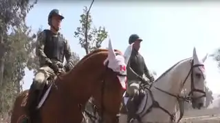 Equipo de equitación del Ejército se prepara para  Panamericanos 2019