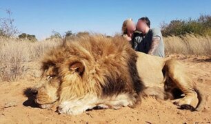 Indignante: pareja celebra la caza de león con un beso