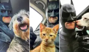 Hombre se viste de Batman para rescatar animales a punto de ser sacrificados