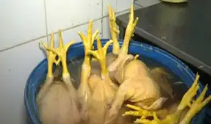 Comas: intervienen avícolas insalubres previo al Día del Pollo a la Brasa