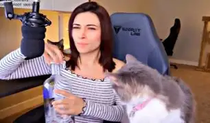 'Gamer' maltrata a su gato durante transmisión en vivo