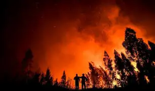 Incendio en Portugal: más de 8 500 hectáreas se perdieron y 32 personas quedaron heridas