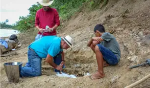 Brasil: menor de 11 años halló fósil de cocodrilo gigante prehistórico