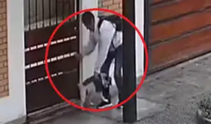 Ladrón devuelve mascota que robó de casa en Surco