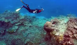 Grecia: Buzos encuentran “golfo de corales plásticos” en el mar Egeo