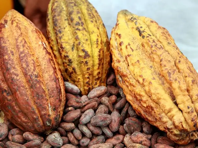 Feria del Cacao y Chocolate 2019 presenta novedosos productos