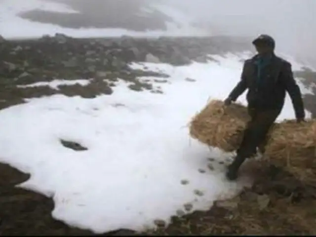 Tacna registró la temperatura más baja de lo que va del invierno en el Perú