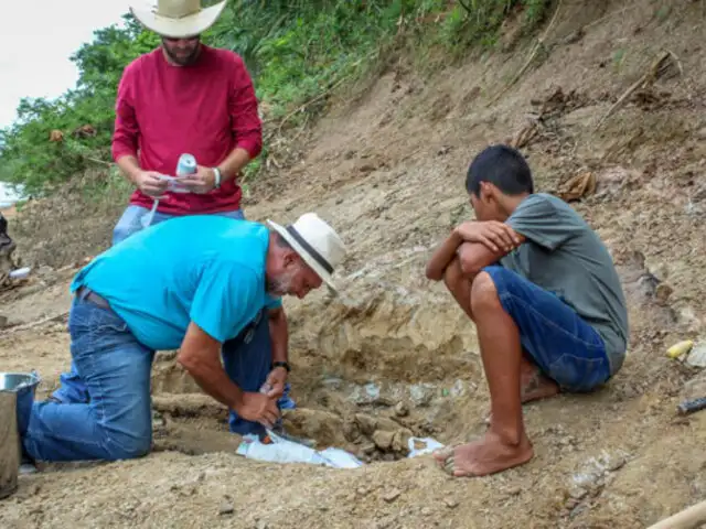 Brasil: menor de 11 años halló fósil de cocodrilo gigante prehistórico