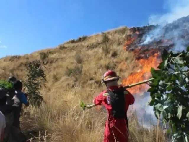Cusco: incendios forestales destruyen 60 hectáreas de pastizales en Lamay