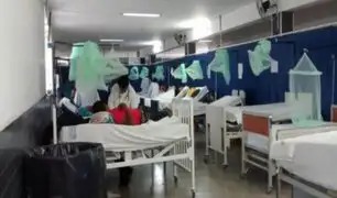 Minsa declara emergencia en Cajamarca por más de mil casos de dengue