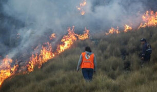 Incendios forestales en Cajamarca, Huancavelica, La Libertad y Cusco fueron extinguidos