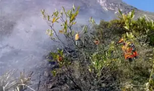 Kuélap: incendió consumió más de 200 hectáreas de pastizales