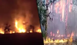 Madre de Dios: incendio forestal afectó provincia de Tahuamanu