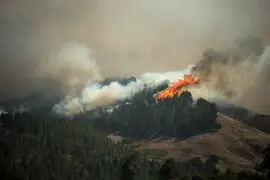 España: Incendio forestal consume zonas naturales protegidas en Gran Canaria [FOTOS]