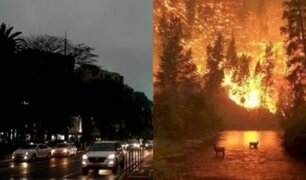 Incendios en la Amazonía: Sao Paulo anochece a las tres de la tarde