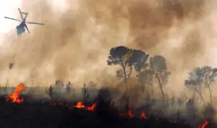 Bolivia: incendio forestal arrasa con medio millón de hectáreas