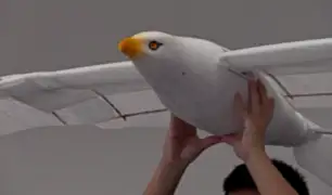 China: presentan dron con curiosa forma de gaviota