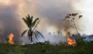 Incendio en la Amazonía: crean petición de firmas en Change.org para investigar las causas
