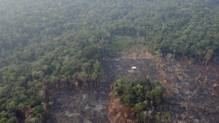 COEN: "No hay ningún incendio forestal activo en La Amazonía peruana"