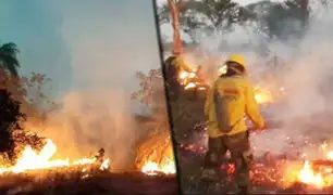 Bolivia: incendio forestal consume un millón de hectáreas en Santa Cruz