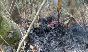 Sernanp acude ante posible incendio forestal en Sierra del Divisor