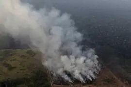 Brasil: FFAA  comenzaron a apagar el fuego en la Amazonía