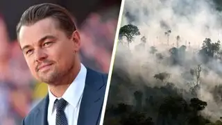 Leonardo DiCaprio crea un fondo de 5 millones de dólares para salvar el Amazonas