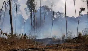 Mafias emplean violencia e intimidación para deforestar y quemar la Amazonía, denuncia HRW