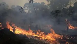 Chile enviará cuatro aviones a Brasil para combatir incendios forestales