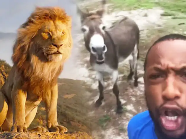 EEUU: hombre canta a dúo tema de “El Rey León” con un burro