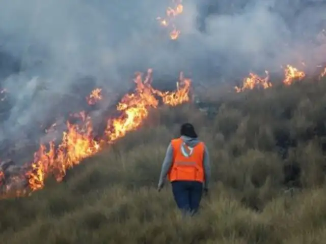 Incendios forestales en Cajamarca, Huancavelica, La Libertad y Cusco fueron extinguidos