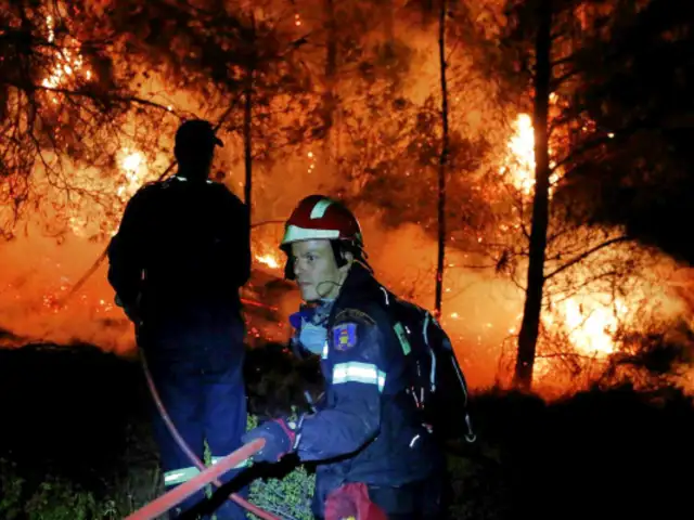 Grecia: incendio forestal provocó una catástrofe ecológica