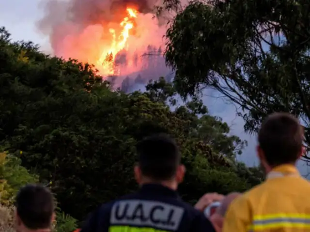 España: más de 6 mil hectáreas quemadas por incendio en Gran Canaria