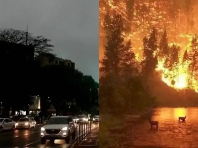 Incendios en la Amazonía: Sao Paulo anochece a las tres de la tarde