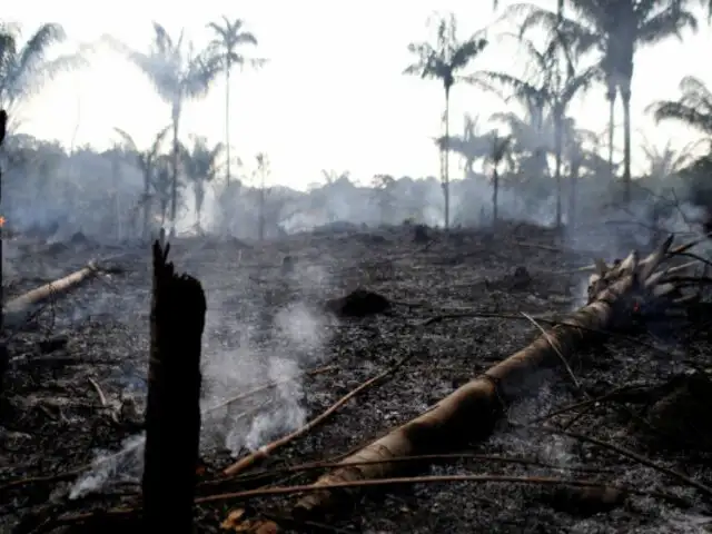 Brasil impuso millonarias multas a los involucrados en los incendios en la Amazonia