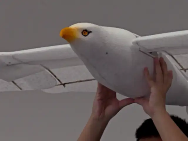 China: presentan dron con curiosa forma de gaviota