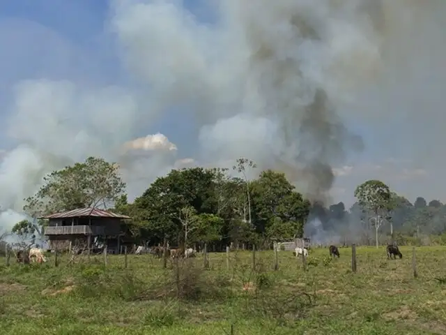 Indeci: Se han reportado 136 incendios forestales en menos de un mes