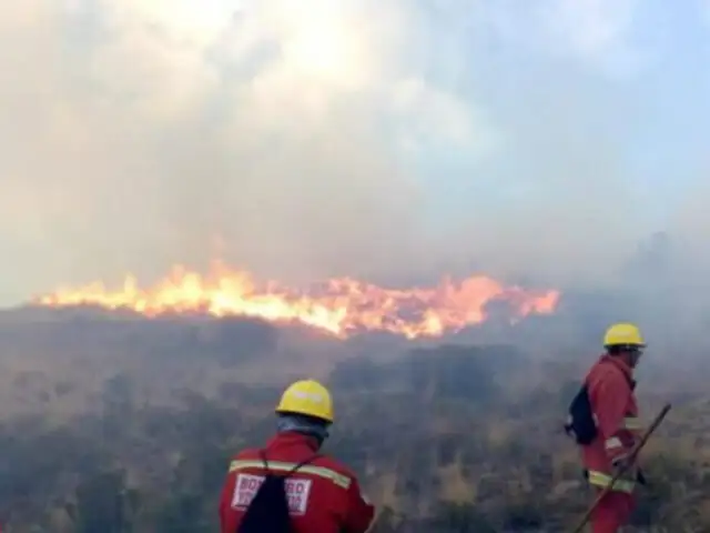 Madre de Dios: gobernador pide declarar emergencia ambiental tras incendios