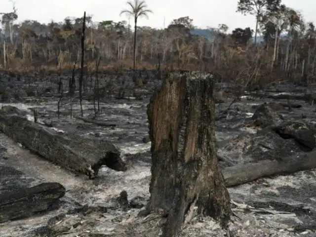 Brasil confirma extinción de incendio en parque nacional en Amazonía