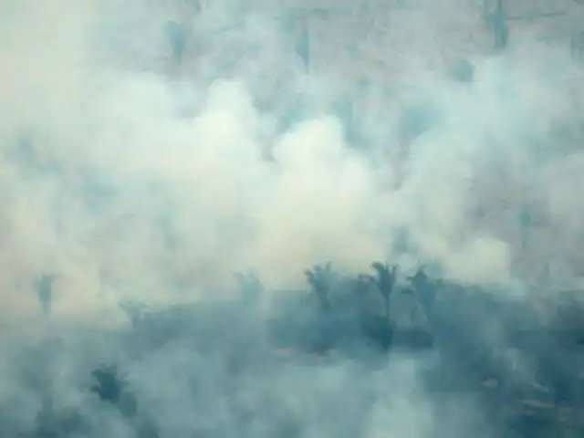 NASA detecta grandes cantidades de monóxido de carbono de los incendios de Brasil