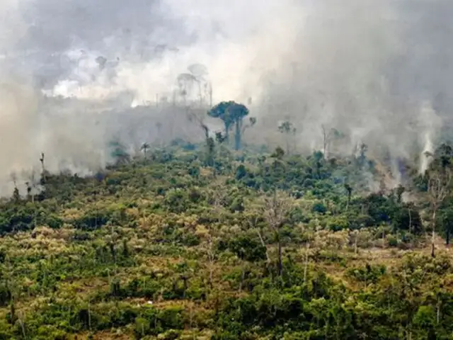 Si se destruye el 25% de la Amazonía, se convertirá en una sabana, según experto