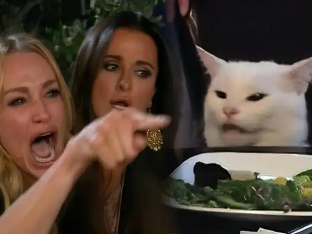 ¿De dónde proviene el meme del gato en la mesa y la mujer gritando?