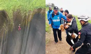Mira el emotivo rescate de perro que quedó atrapado en malla de la Costa Verde