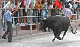 España: anciano muere tras ser embestido por vaca durante festejo taurino